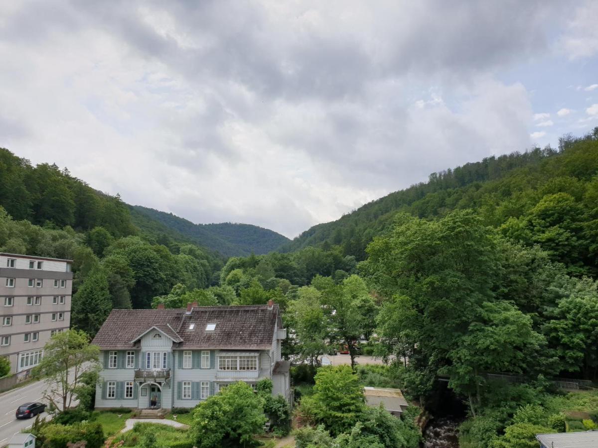 Apartz - Bad Harzburg - Apartment Mit Sauna In Idealer Lage Mit Bergblick المظهر الخارجي الصورة